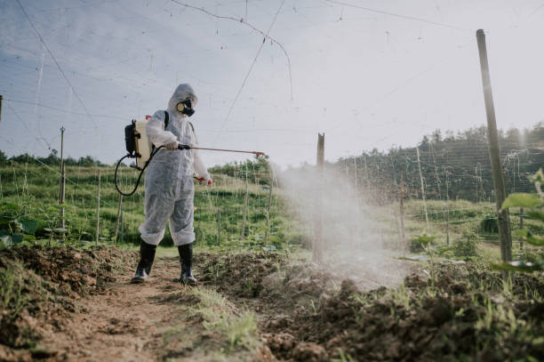 Best Commercial Pest Control Services  in West Hamburg, PA
