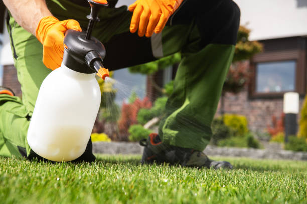 Best Local Pest Control Services  in West Hamburg, PA
