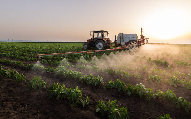 Pest Prevention Services in West Hamburg, PA