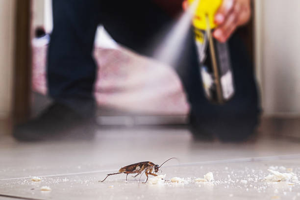 Professional Pest Control in West Hamburg, PA
