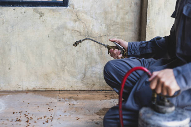 Best Pest Removal Services  in West Hamburg, PA
